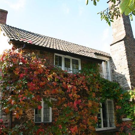 Bossington Tudor Cottage المظهر الخارجي الصورة