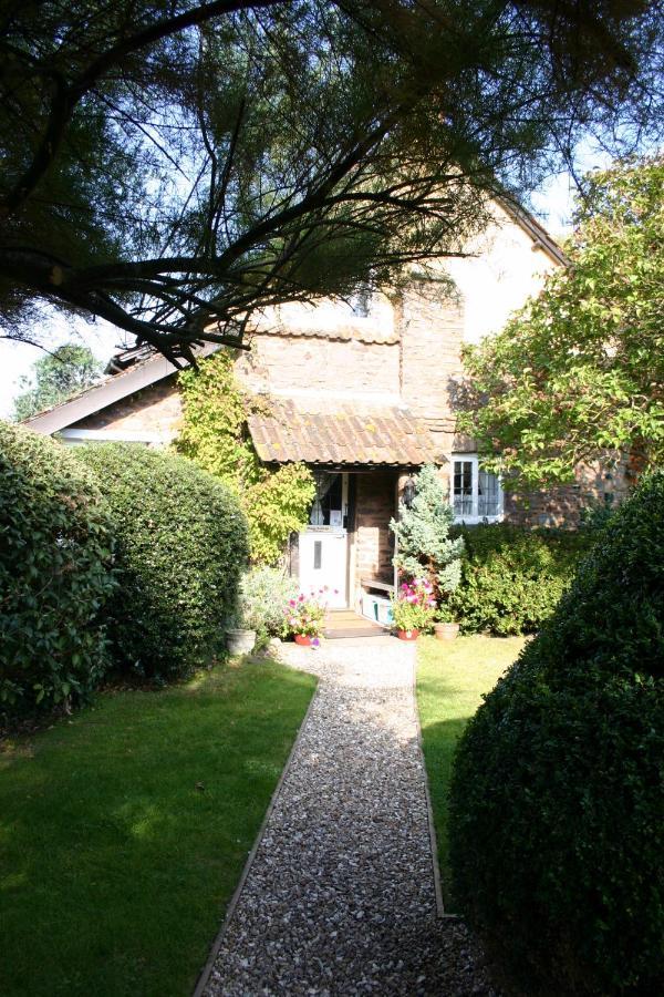 Bossington Tudor Cottage المظهر الخارجي الصورة