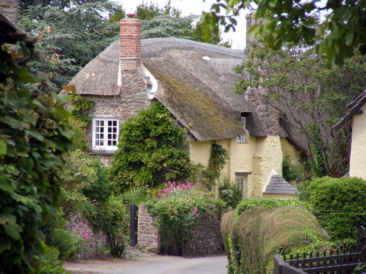 Bossington Tudor Cottage المظهر الخارجي الصورة